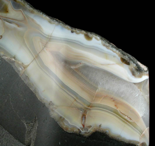 Quartz var. Agate from Upper Montclair, Essex County, New Jersey