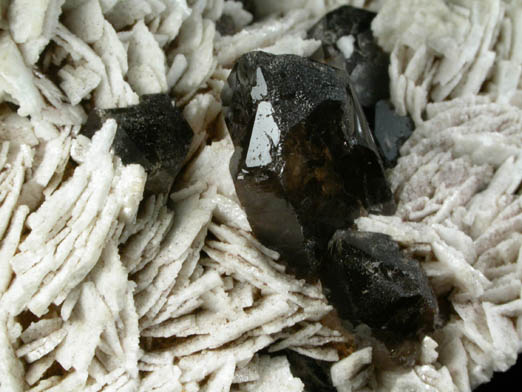 Albite with Smoky Quartz from Oliver Diggings, Moat Mountain, Hale's Location, Carroll County, New Hampshire