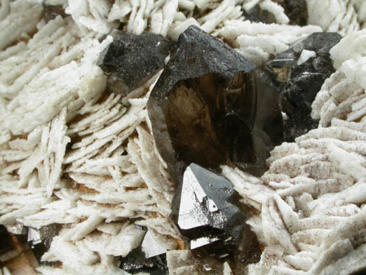 Albite with Smoky Quartz from Oliver Diggings, Moat Mountain, Hale's Location, Carroll County, New Hampshire