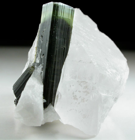 Elbaite Tourmaline in Quartz from Stak Nala, Skardu Road, Baltistan, Gilgit-Baltistan, Pakistan