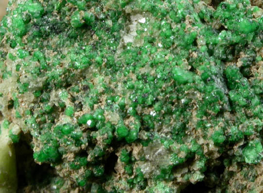 Grossular Garnet (chrome-rich) on Diopside from Orford Nickel Mine, 5.6 km southwest of Saint-Denis-de-Brompton, Qubec, Canada