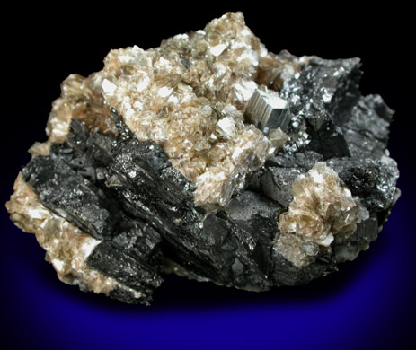 Arsenopyrite and Muscovite on Ferberite from Panasqueira Mine, Barroca Grande, 21 km. west of Fundao, Castelo Branco, Portugal