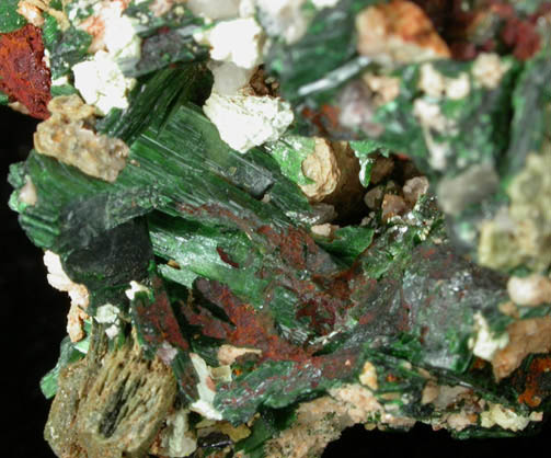 Szenicsite with Powellite from Jardinera #1 Mine, Tierra Amarilla, Inca de Oro, Chile (Type Locality for Szenicsite)