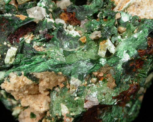 Szenicsite with Powellite from Jardinera #1 Mine, Tierra Amarilla, Inca de Oro, Chile (Type Locality for Szenicsite)