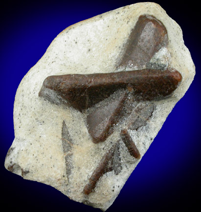 Staurolite from Pestsovye Keivy, Kola Peninsula, Murmanskaja Oblast', Russia