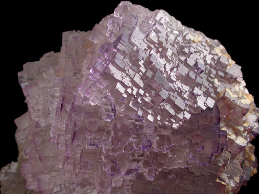 Fluorite from Melchor Mzquiz, Coahuila, Mexico