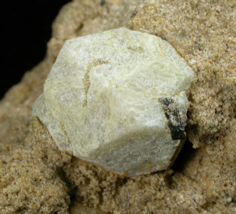 Leucite from Mount Vesuvius, Campania, Italy (Type Locality for Leucite)