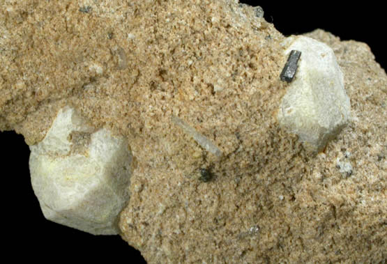 Leucite from Mount Vesuvius, Campania, Italy (Type Locality for Leucite)