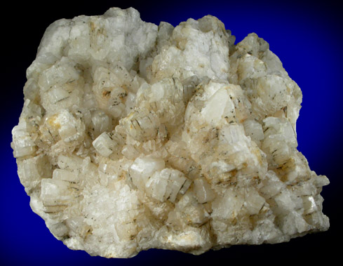 Celestine from England