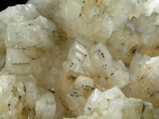 Celestine from England