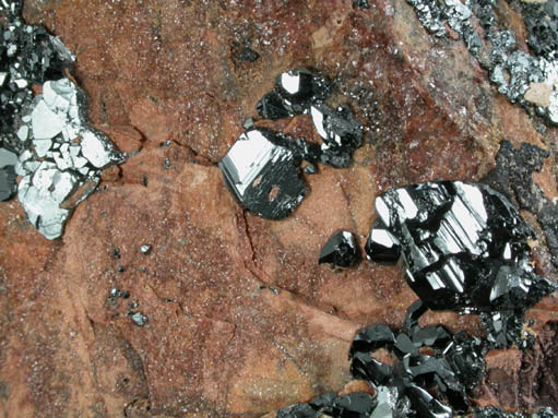 Hematite with Andradite Garnet from Wessels Mine, Kalahari Manganese Field, Northern Cape Province, South Africa