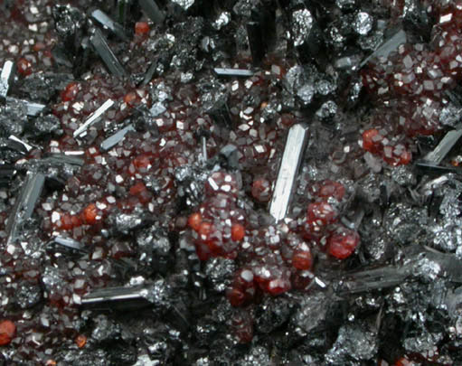 Gaudefroyite on Andradite Garnet from Wessels Mine, Kalahari Manganese Field, Northern Cape Province, South Africa