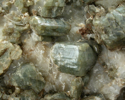 Edenite in marble with Phlogopite from Edenville, Orange County, New York (Type Locality for Edenite)