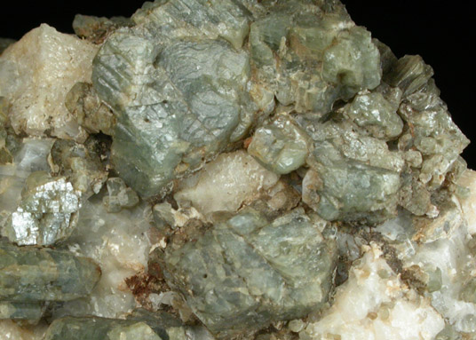 Edenite in marble with Phlogopite from Edenville, Orange County, New York (Type Locality for Edenite)