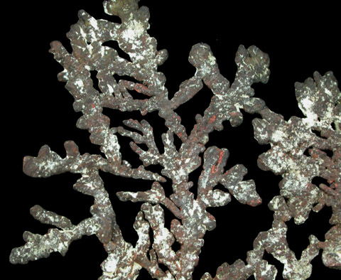 Copper (crystallized) from Cornwall Iron Mines, Upper Levels, Cornwall, Lebanon County, Pennsylvania