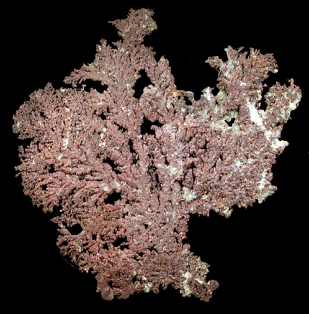 Copper (crystallized) from Cornwall Iron Mines, Upper Levels, Cornwall, Lebanon County, Pennsylvania