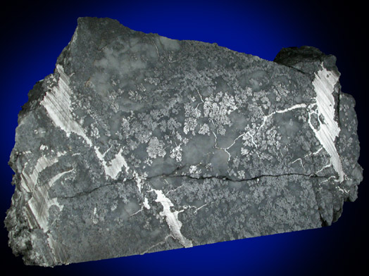 Silver from Conisil Shaft, South Giroux Vein, Canadaka (formerly Silver Shield Mines), Cobalt District, Ontario, Canada