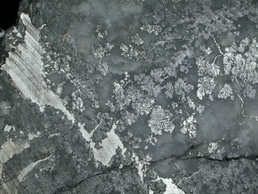 Silver from Conisil Shaft, South Giroux Vein, Canadaka (formerly Silver Shield Mines), Cobalt District, Ontario, Canada