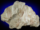 Manganocummingtonite var. Tirodite in tremolite from International Talc Co. Mine, Talcville, St. Lawrence County, New York