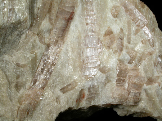 Manganocummingtonite var. Tirodite in tremolite from International Talc Co. Mine, Talcville, St. Lawrence County, New York