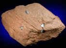 Arsenopyrite in garnet sandstone from ZC Mine, Level 16, Broken Hill, New South Wales, Australia