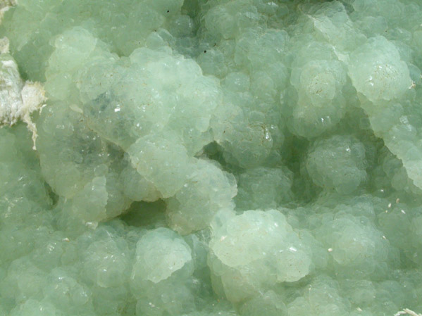 Prehnite from Upper New Street Quarry, Paterson, Passaic County, New Jersey