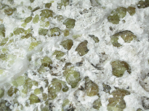 Vesuvianite in Monticellite and Cuspidine var. Custerite from Crestmore Quarry, Riverside County, California