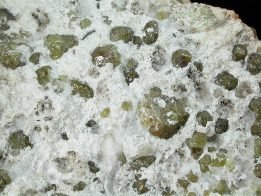 Vesuvianite in Monticellite and Cuspidine var. Custerite from Crestmore Quarry, Riverside County, California