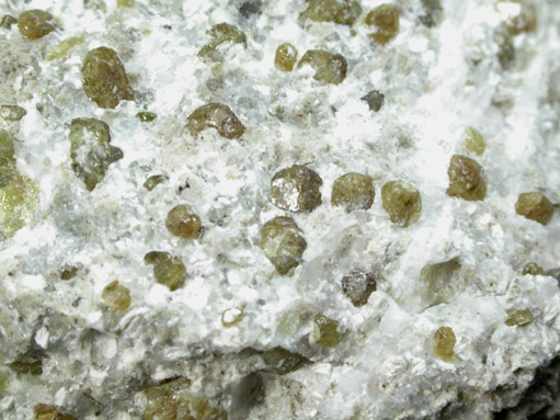 Vesuvianite in Monticellite and Cuspidine var. Custerite from Crestmore Quarry, Riverside County, California