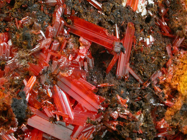 Crocoite with Gibbsite from Dundas, Tasmania, Australia