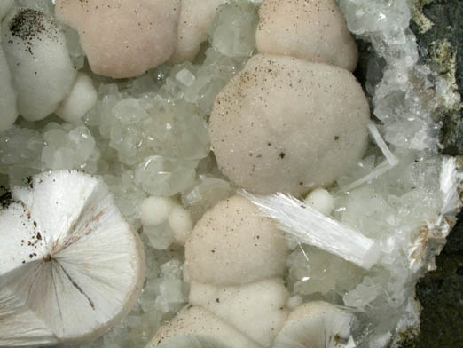 Pectolite on Datolite from Millington Quarry, Bernards Township, Somerset County, New Jersey