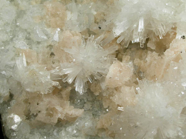 Natrolite, Apophyllite, Gmelinite-Ca from Laurel Hill (Snake Hill) Quarry, Secaucus, Hudson County, New Jersey