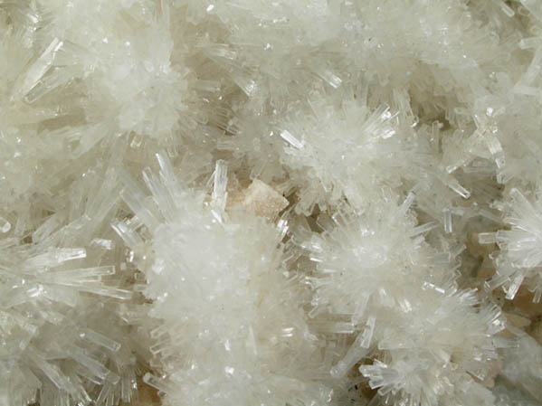 Natrolite, Apophyllite, Gmelinite-Ca from Laurel Hill (Snake Hill) Quarry, Secaucus, Hudson County, New Jersey