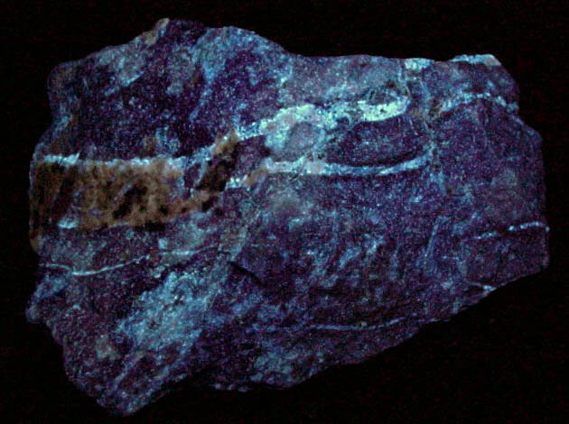 Lazurite var. Lapis Lazuli from Las Flores de Los Andes, near Ovalle, Coquimbo Region, Chile