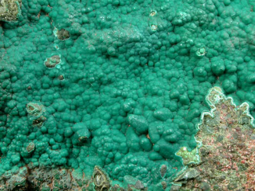 Pseudomalachite from Schuyler Copper Mine, North Arlington, Bergen County, New Jersey