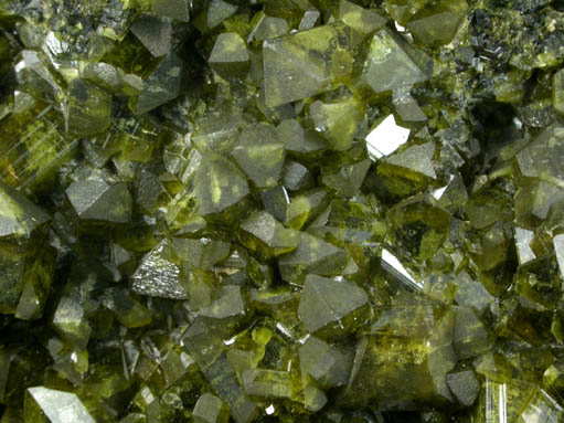 Epidote from Sierra San Pedro Martir, Baja California del Norte, Mexico