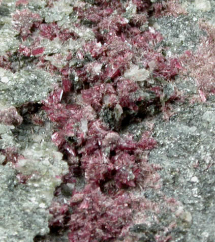 Erythrite from Cobalt District, Ontario, Canada