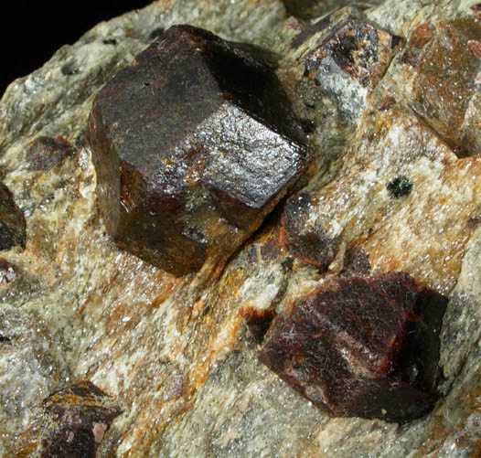 Almandine Garnet with Staurolite from Green's Farm, 750 m. ESE of Roxbury Falls, Roxbury, New Haven County, Connecticut