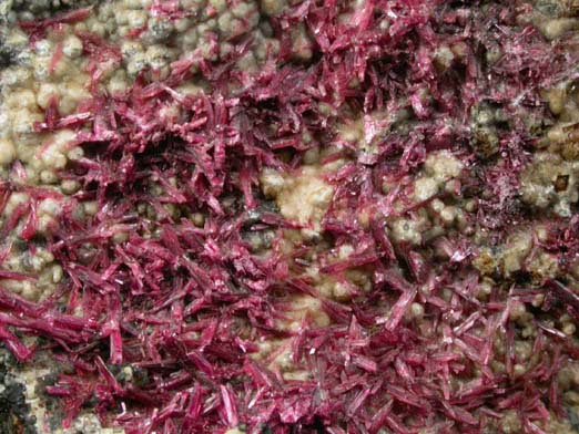 Erythrite on Mansfieldite from Mina Sara Alicia, San Bernardo, Sonora, Mexico