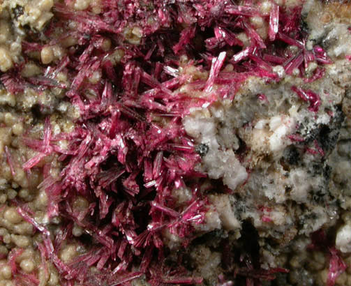 Erythrite on Mansfieldite from Mina Sara Alicia, San Bernardo, Sonora, Mexico