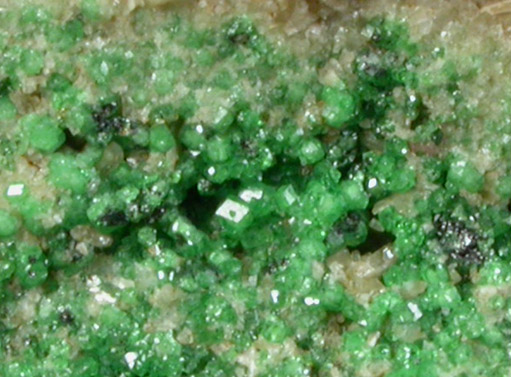 Grossular Garnet (chrome-rich) and Diopside from Orford Nickel Mine, 5.6 km southwest of Saint-Denis-de-Brompton, Québec, Canada