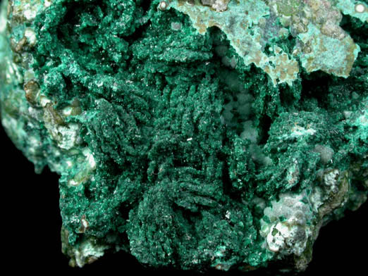 Malachite pseudomorphs after Azurite with Chrysocolla from Morenci Mine, Northwest Extension, Clifton District, Greenlee County, Arizona