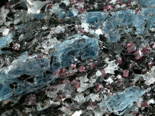 Kyanite and Almandine Garnet in Biotite-Quartz schist from Khit Ostrov, Karelia, Russia