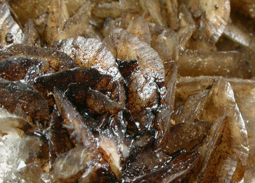 Hydrocarbon on Calcite with Quartz from New Almaden Mine, 600' level, Santa Teresa Hills, Santa Clara County, California