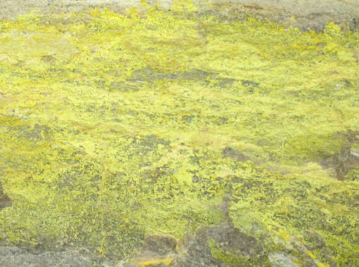 Carnotite from Anderson Mine, Date Creek Basin, Yavapai County, Arizona