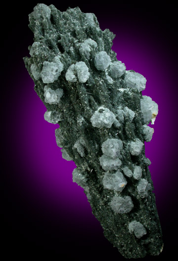 Fluorite on Tourmaline from Tasmania, Australia