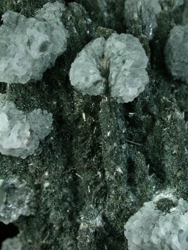 Fluorite on Tourmaline from Tasmania, Australia