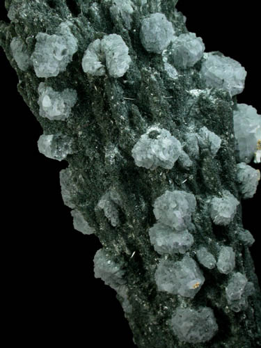Fluorite on Tourmaline from Tasmania, Australia