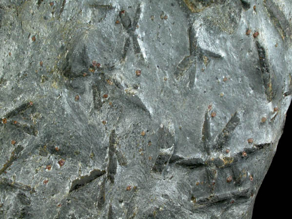 Staurolite with Almandine Garnet from Pipeline excavation, south of Diamond Lake, Glastonbury, Hartford County, Connecticut