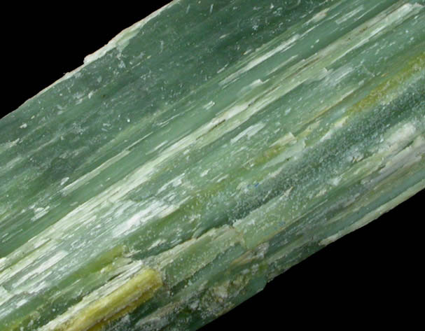 Antigorite var. Picrolite from Penn-MD Quarry, near Peach Bottom, Fulton Township, Lancaster County, Pennsylvania